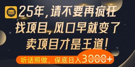 什么？25年你还在疯狂找项目做，醒醒吧，看完这些你全都懂了【揭秘】汇创网-网创项目_汇创网_中创网_福缘网_冒泡网_资源整合平台汇创网