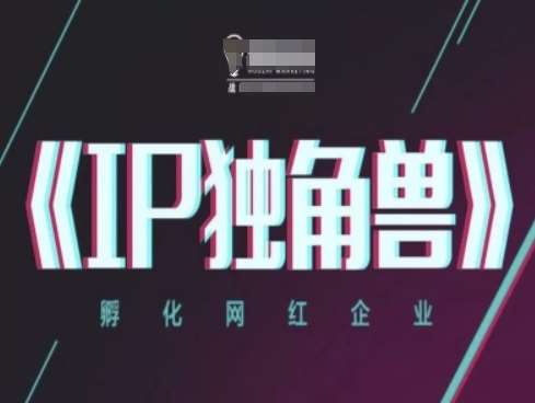 IP独角兽，孵化网红企业，ip教程汇创网-网创项目_汇创网_中创网_福缘网_冒泡网_网创项目平台汇创网