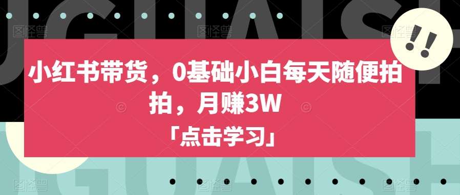 小红书带货，0基础小白每天随便拍拍，月赚3W【揭秘】汇创网-网创项目_汇创网_中创网_福缘网_冒泡网_网创项目平台汇创网
