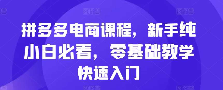 拼多多电商课程，新手纯小白必看，零基础教学快速入门汇创网-网创项目_汇创网_中创网_福缘网_冒泡网_资源整合平台汇创网
