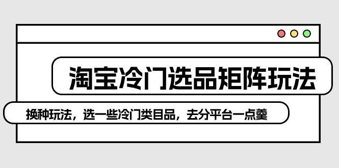 （10159期）淘宝冷门选品矩阵玩法：换种玩法，选一些冷门类目品，去分平台一点羹汇创网-网创项目_汇创网_中创网_福缘网_冒泡网_资源整合平台汇创网