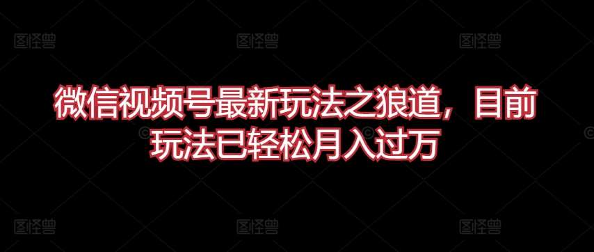 微信视频号最新玩法之狼道，目前玩法已轻松月入过万【揭秘】汇创网-网创项目_汇创网_中创网_福缘网_冒泡网_网创项目平台汇创网