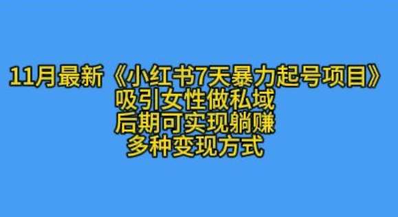 K总部落11月最新小红书7天暴力起号项目，吸引女性做私域【揭秘】汇创网-网创项目_汇创网_中创网_福缘网_冒泡网_资源整合平台汇创网