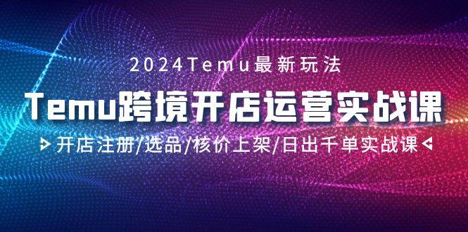 （9208期）2024Temu跨境开店运营实战课，开店注册/选品/核价上架/日出千单实战课汇创网-网创项目_汇创网_中创网_福缘网_冒泡网_资源整合平台汇创网