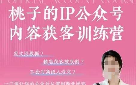 桃子IP公众号内容获客训练营(第3期)，一门让你公众号从0到商业闭环的课程汇创网-网创项目_汇创网_中创网_福缘网_冒泡网_资源整合平台汇创网