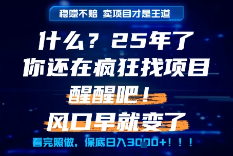什么？25年你还在疯狂找项目做，醒醒吧，看完这些你全都懂了！【揭秘】汇创网-网创项目_汇创网_中创网_福缘网_冒泡网_资源整合平台汇创网