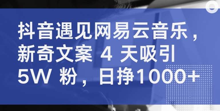 抖音遇见网易云音乐，新奇文案 4 天吸引 5W 粉，日挣1000+【揭秘】汇创网-网创项目_汇创网_中创网_福缘网_冒泡网_网创项目平台汇创网