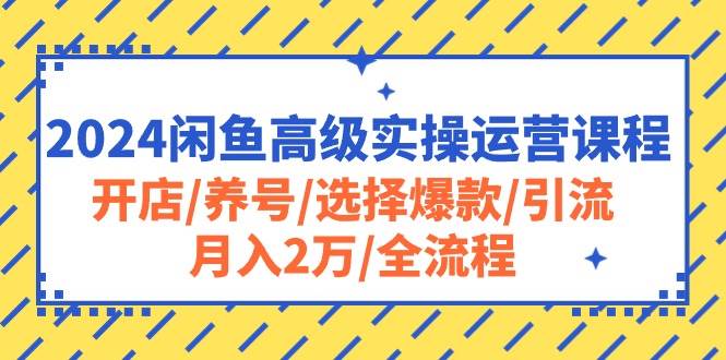 （10711期）2024闲鱼高级实操运营课程：开店/养号/选择爆款/引流/月入2万/全流程汇创网-网创项目_汇创网_中创网_福缘网_冒泡网_资源整合平台汇创网