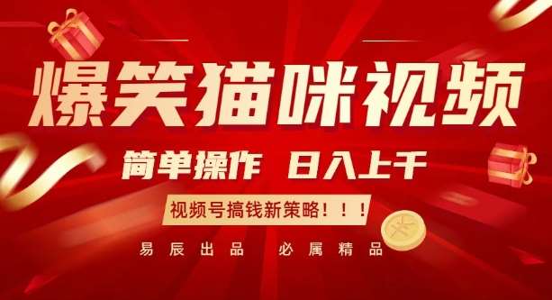 爆笑猫咪视频：简单操作，日入过K，视频号搞钱新策略【揭秘】汇创网-网创项目_汇创网_中创网_福缘网_冒泡网_网创项目平台汇创网