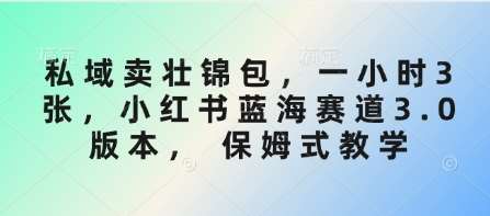 私域卖壮锦包，一小时3张，小红书蓝海赛道3.0版本， 保姆式教学汇创网-网创项目_汇创网_中创网_福缘网_冒泡网_资源整合平台汇创网