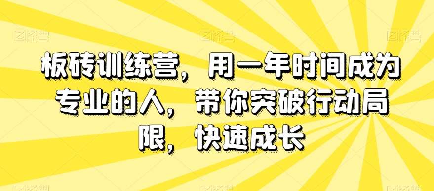 板砖训练营，用一年时间成为专业的人，带你突破行动局限，快速成长网创项目_汇创网_中创网_福缘网_冒泡网_资源整合平台汇创网