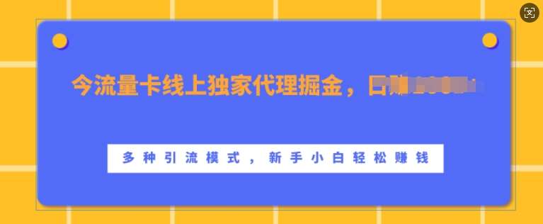 流量卡线上独家代理掘金，日入1k+ ，多种引流模式，新手小白轻松上手【揭秘】汇创网-网创项目_汇创网_中创网_福缘网_冒泡网_资源整合平台汇创网