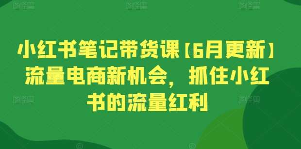小红书笔记带货课【6月更新】流量电商新机会，抓住小红书的流量红利汇创网-网创项目_汇创网_中创网_福缘网_冒泡网_资源整合平台汇创网