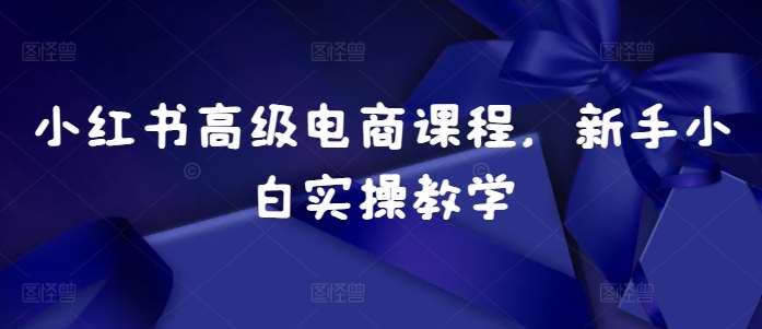小红书高级电商课程，新手小白实操教学汇创网-网创项目_汇创网_中创网_福缘网_冒泡网_网创项目平台汇创网