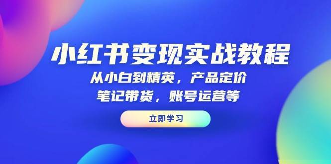 小红书变现实战教程：从小白到精英，产品定价，笔记带货，账号运营等汇创网-网创项目_汇创网_中创网_福缘网_冒泡网_资源整合平台汇创网