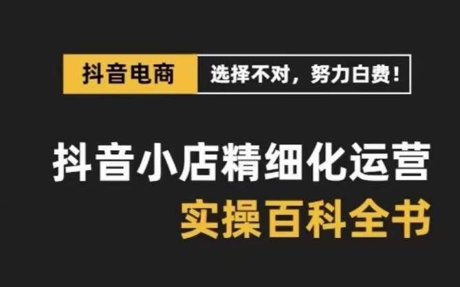 （8380期）抖音小店 精细化运营-百科全书，保姆级运营实战讲解（28节课）汇创网-网创项目_汇创网_中创网_福缘网_冒泡网_资源整合平台汇创网