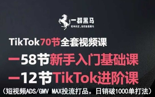 TikTok全套视频课，新手入门+进阶课，短视频ADS-GMV MAX投流打品，日销破1000单打法汇创网-网创项目_汇创网_中创网_福缘网_冒泡网_网创项目平台汇创网