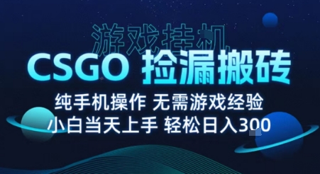 8月最新游戏搬砖，CSGO纯挂G，不需要玩游戏，实现真挂G，月入1W+【揭秘】汇创网-网创项目_汇创网_中创网_福缘网_冒泡网_网创项目平台汇创网