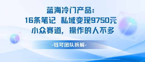 蓝海项目：16条笔记私域变现9750米小众赛道操作的人不多汇创网-网创项目_汇创网_中创网_福缘网_冒泡网_网创项目平台汇创网