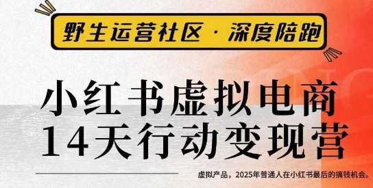 小红书虚拟电商14天变现训练营3.0，​虚拟产品，2025年普通人在小红书最后的搞钱机会汇创网-网创项目_汇创网_中创网_福缘网_冒泡网_网创项目平台汇创网