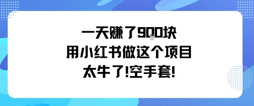 一天挣了9张用小红书做这个项目太牛了，空手套汇创网-网创项目_汇创网_中创网_福缘网_冒泡网_网创项目平台汇创网