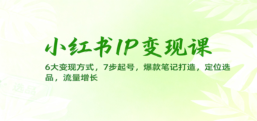 小红书IP变现课：6大变现方式，7步起号，爆款笔记打造，定位选品，流量增长汇创网-网创项目_汇创网_中创网_福缘网_冒泡网_网创项目平台汇创网