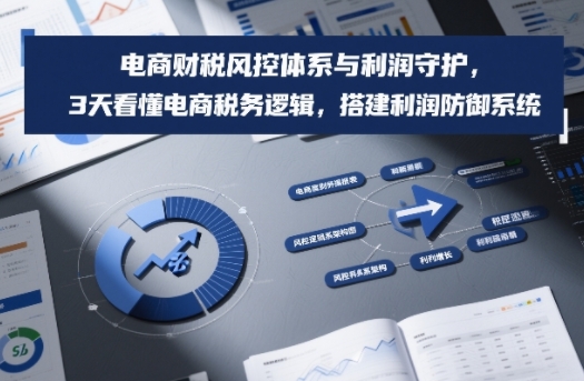 电商财税风控体系与利润守护，3天看懂电商税务逻辑，搭建利润防御系统汇创网-网创项目_汇创网_中创网_福缘网_冒泡网_网创项目平台汇创网