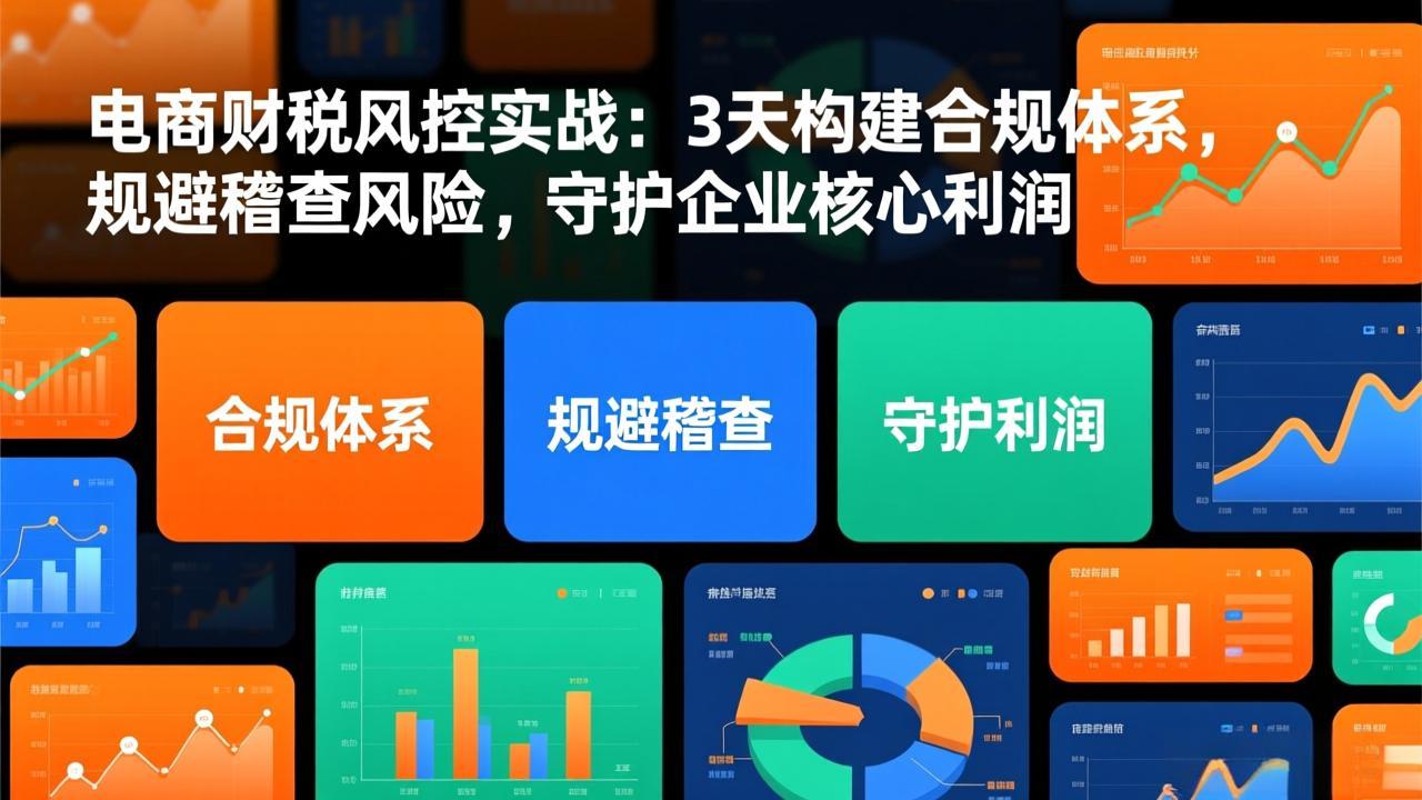 （17197期）电商财税风控实战：3天构建合规体系，规避稽查风险，守护企业核心利润汇创网-网创项目_汇创网_中创网_福缘网_冒泡网_网创项目平台汇创网