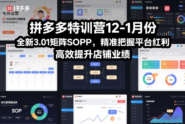拼多多特训营12-1月份，全新3.01矩阵Sop，精准把握平台红利，高效提升店铺业绩汇创网-网创项目_汇创网_中创网_福缘网_冒泡网_网创项目平台汇创网