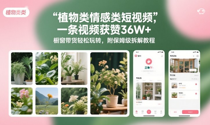 植物类情感类短视频，一条视频获赞36W+，橱窗带货轻松玩转，附保姆级拆解教程汇创网-网创项目_汇创网_中创网_福缘网_冒泡网_网创项目平台汇创网