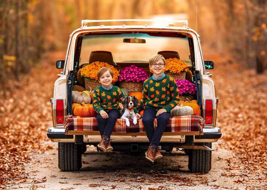 （17403期）大师级GTG出品-老友记系列AI自适应预设The Friends Preset Collection汇创网-网创项目_汇创网_中创网_福缘网_冒泡网_网创项目平台汇创网