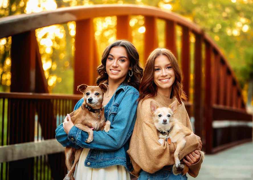 （17403期）大师级GTG出品-老友记系列AI自适应预设The Friends Preset Collection汇创网-网创项目_汇创网_中创网_福缘网_冒泡网_网创项目平台汇创网