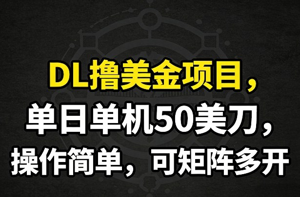 DL撸美金项目，单日单机50美刀，操作简单，可矩阵多开汇创网-网创项目_汇创网_中创网_福缘网_冒泡网_网创项目平台汇创网