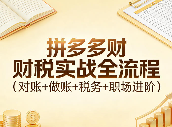 拼多多财税实战全流程（对账+做账+税务+职场进阶）汇创网-网创项目_汇创网_中创网_福缘网_冒泡网_网创项目平台汇创网