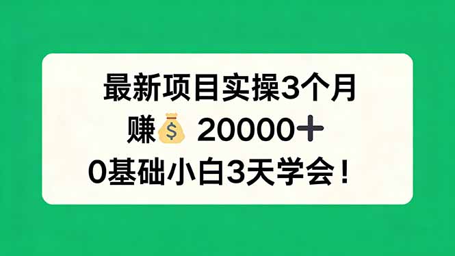 （17856期）最新项目实操3个月，赚钱20000+，0基础小白3天学会！汇创网-网创项目_汇创网_中创网_福缘网_冒泡网_网创项目平台汇创网