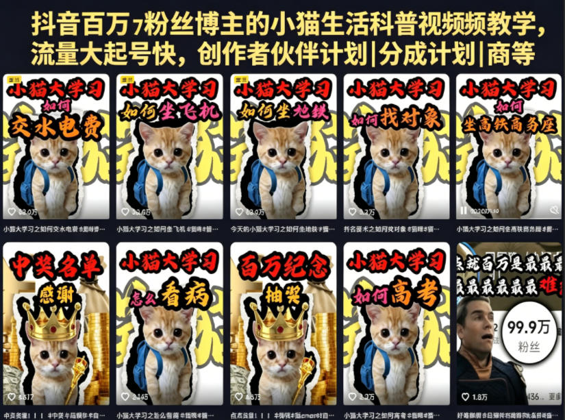 抖音百万粉丝博主的小猫生活科普视频教学，流量大起号快，创作者伙伴计划|分成计划|商单|收徒等汇创网-网创项目_汇创网_中创网_福缘网_冒泡网_网创项目平台汇创网
