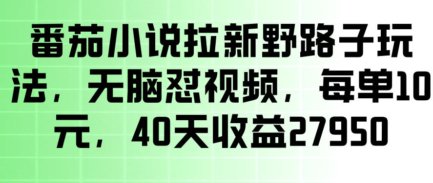 番茄小说拉新野路子玩法，无脑怼视频，玩法简单、见效快，每单10米，40天收益27950汇创网-网创项目_汇创网_中创网_福缘网_冒泡网_网创项目平台汇创网