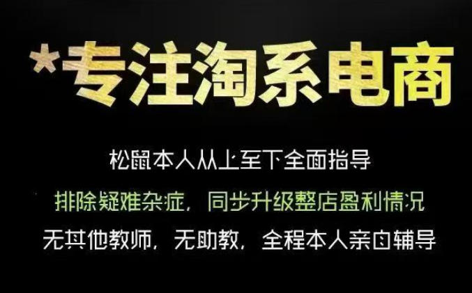 松鼠会电商VIP课程，从基础布局到高阶优化，助你掌握淘宝运营逻辑，提升店铺流量与转化汇创网-网创项目_汇创网_中创网_福缘网_冒泡网_网创项目平台汇创网